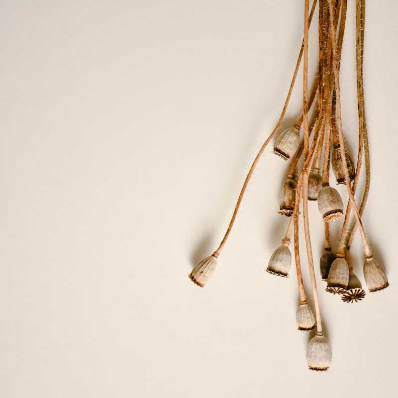 Au-delà de l’obstacle